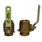 GROCO 212 NPT Bronze Inline Valve IBV2500