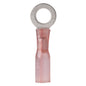 Ancor 2218 Gauge  8 Heat Shrink Ring Terminal  25Pack 310225