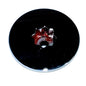 Maxwell Clutch Nut RC8 Freedom  500800 4376