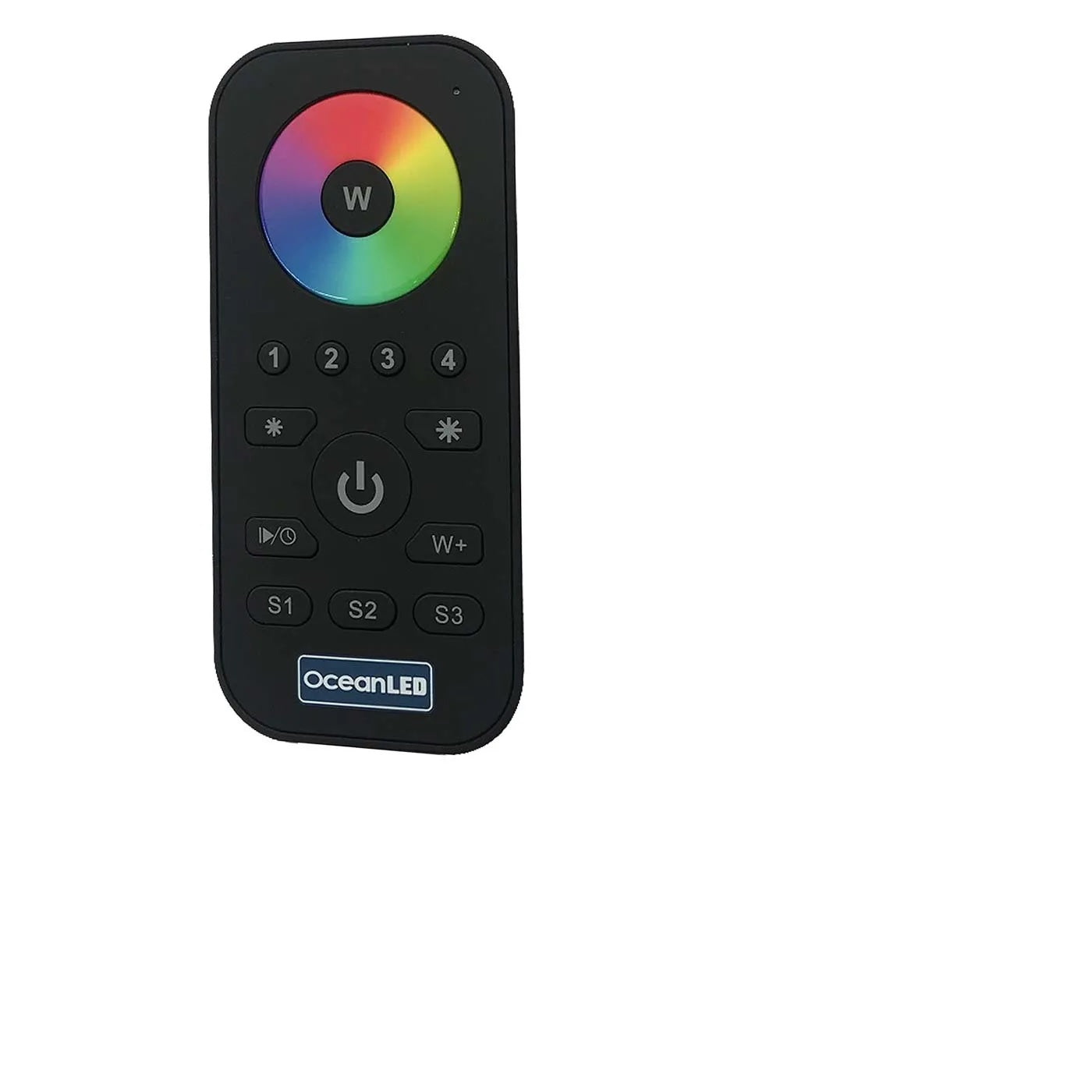 13019