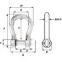 Wichard Captive Pin Bow Shackle - Diameter 6mm - 1/4