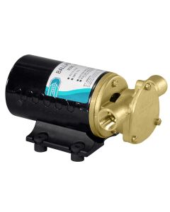 Jabsco Wakeboard Ballast Puppy w/Reversing Switch - 12V