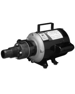 Jabsco Macerator Pump - 115V