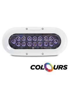 Ocean LED X-Series X16 - Colours LEDs