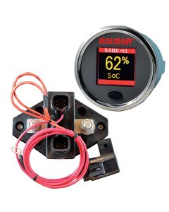 Balmar SG200 Battery Monitor Kit w/Display Shunt & 10M Cable - 12-48 VDC
