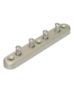 81550